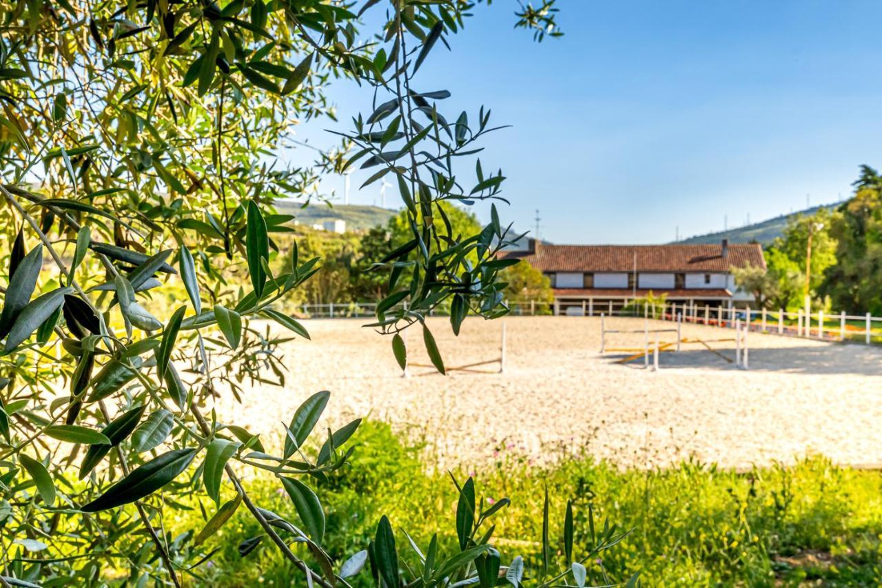 Quinta Do Boição Hébergement de vacances Lisboa