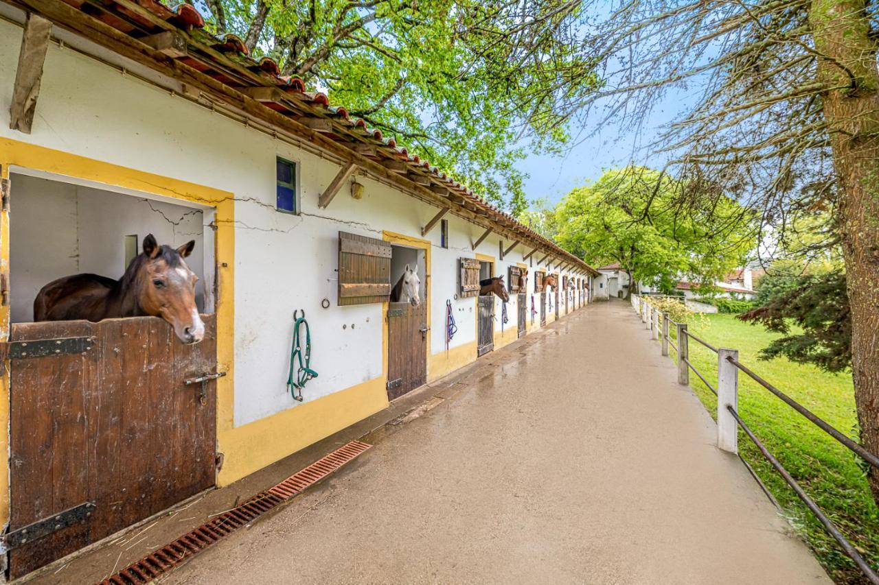 Quinta Do Boição * Lisboa