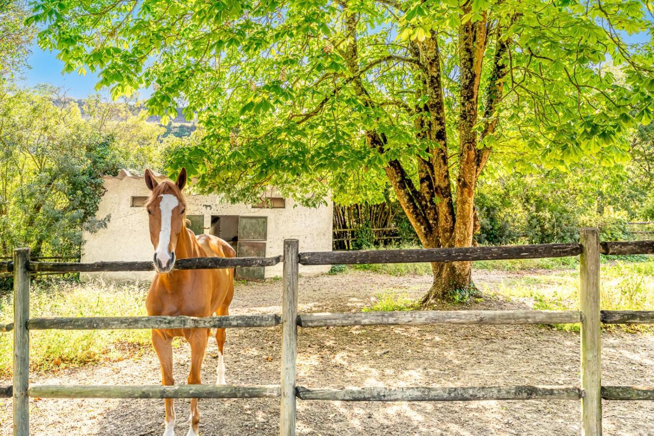 Quinta Do Boição Hébergement de vacances