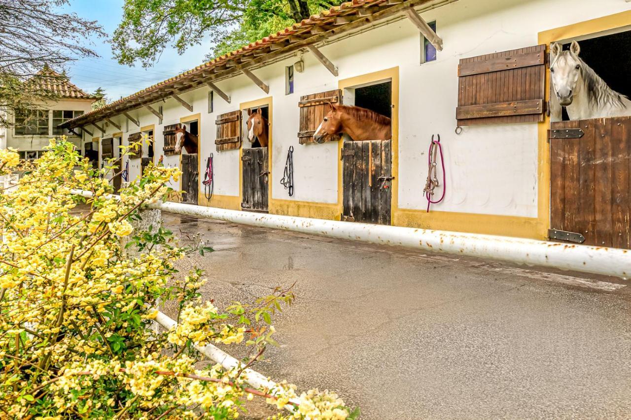 Hébergement de vacances Quinta Do Boição *