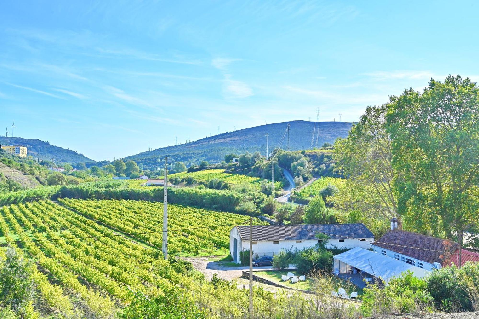 Ferienhaus Quinta Do Boicao Lissabon